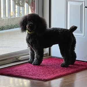 Meet your Posher, Gwen